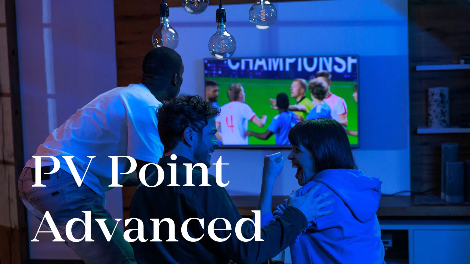 Fronius Wattpilot and Smart Meter IP