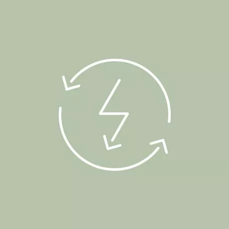 Icon Backup