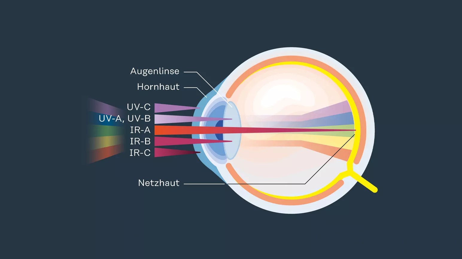 Augen verblitzt