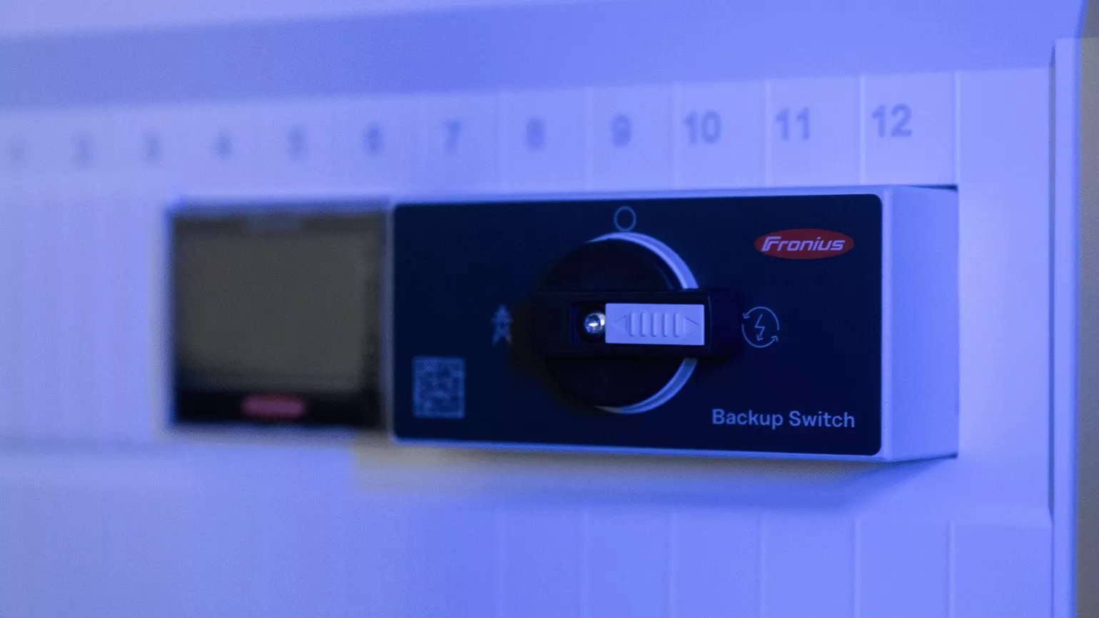 Backup Switch