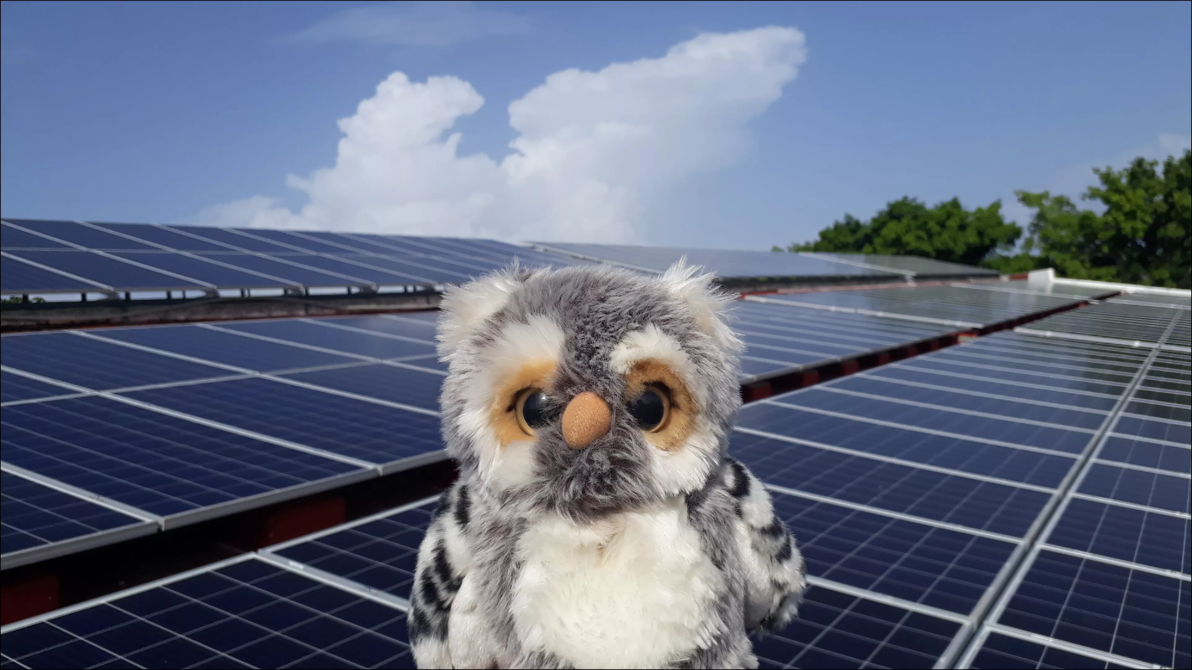 Referencia Universidad Politécnica de Quintana Roo Referencia Universidad Politécnica de Quintana Roo