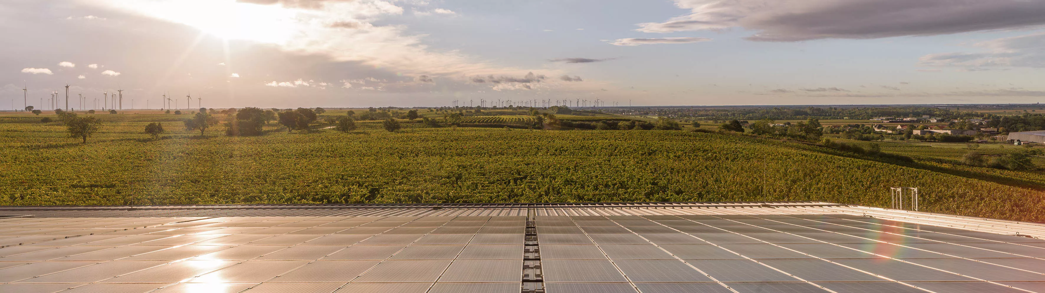 solar panels