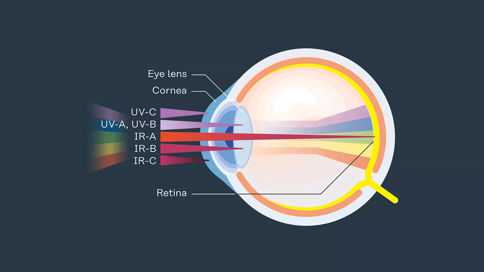 Safe welding eye