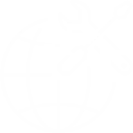 Icon zeigt Weltkugel mit Werkzeug