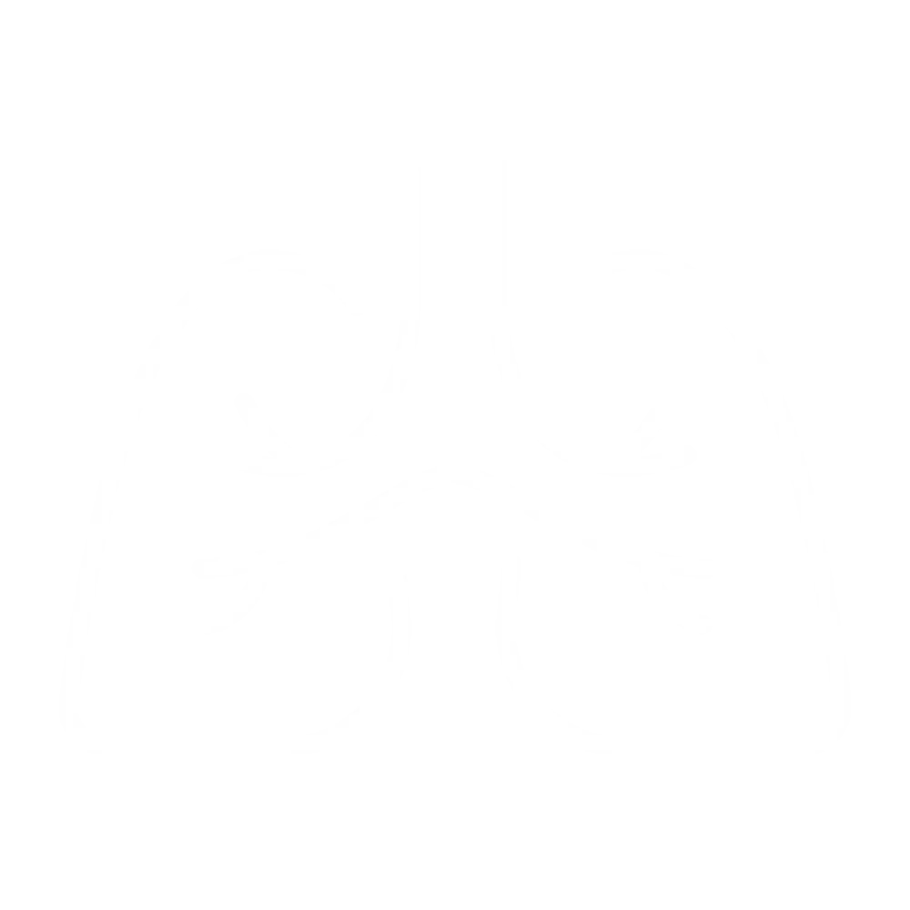 Icon Lung