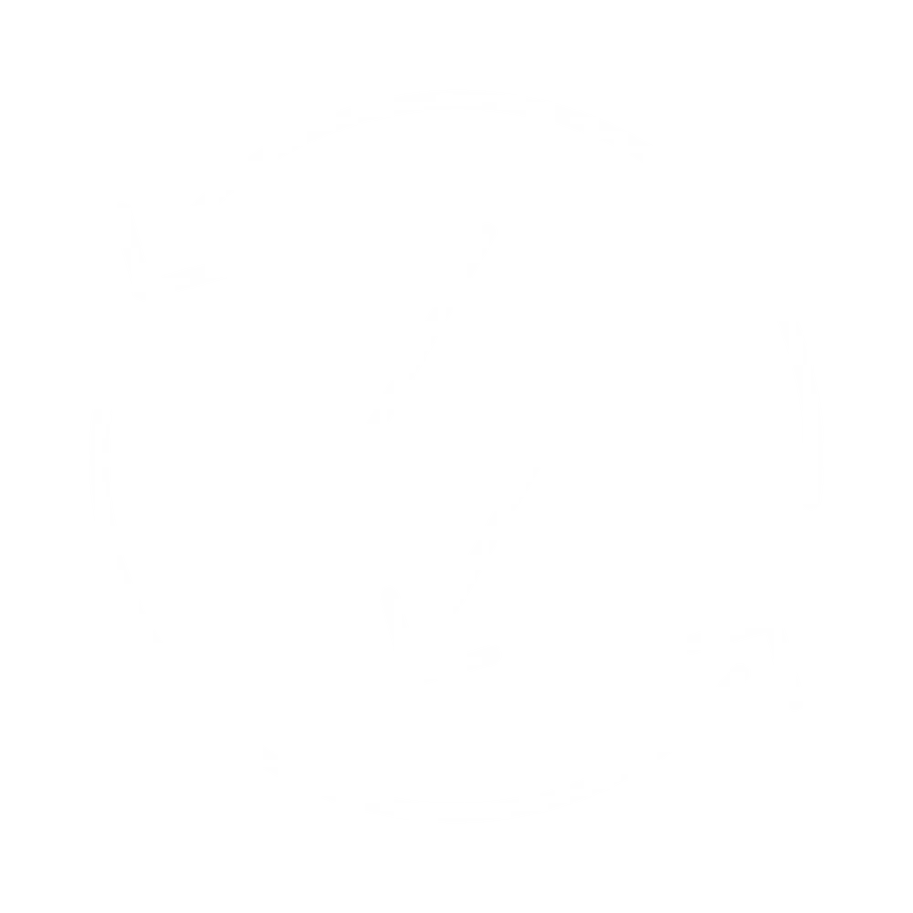 Icon Full Backup
