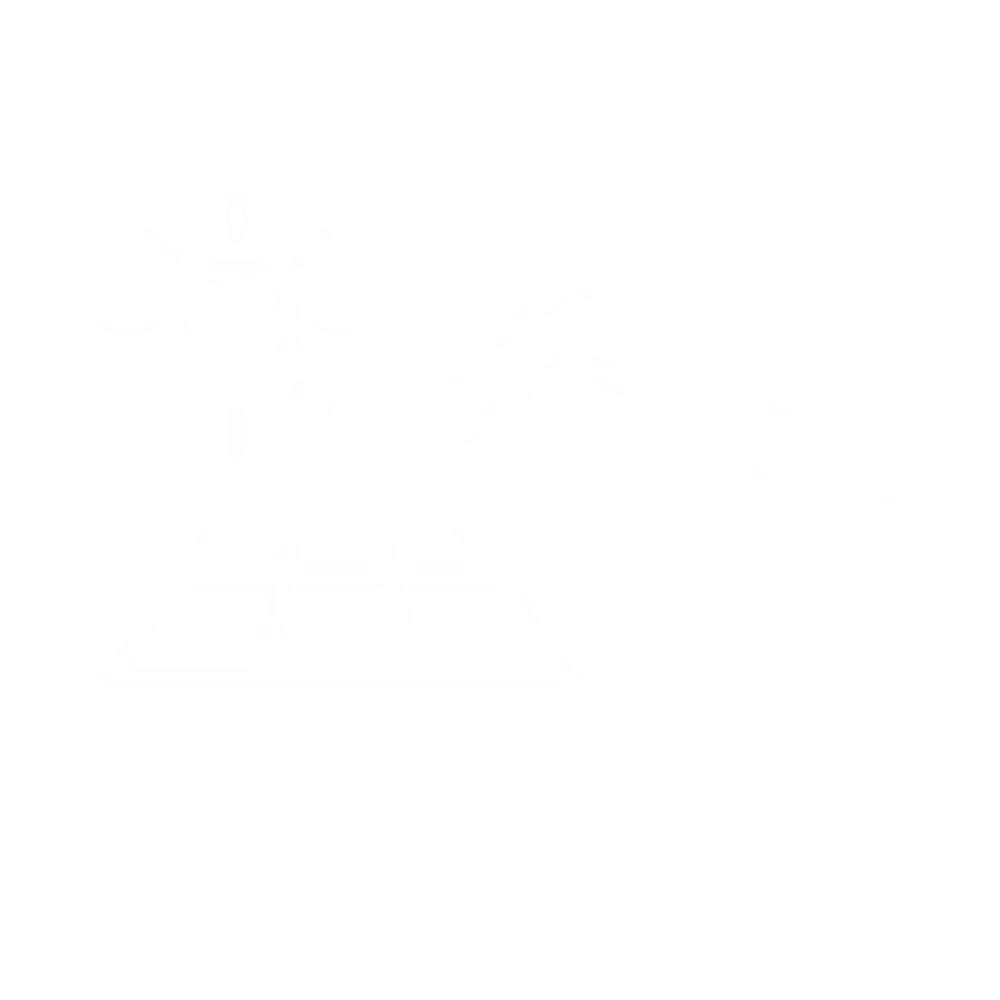Icon house with solar panels