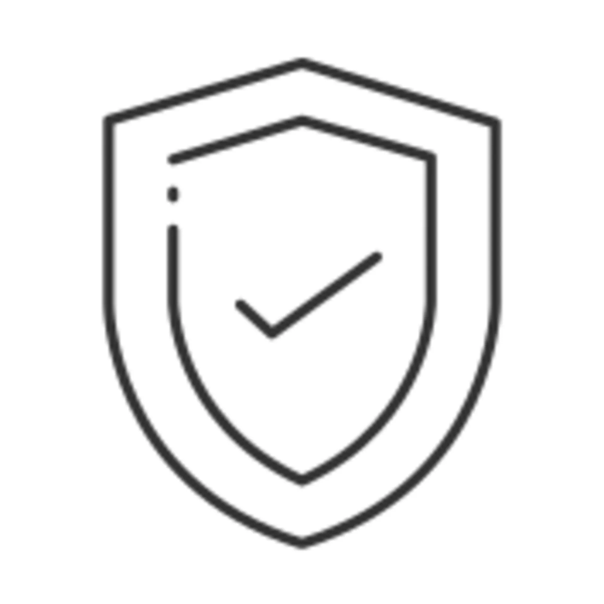 Icon zeigt ein Schild, das für Sicherheit stehen soll