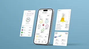 Solar.web App auf Smartphone