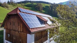 House roof in front of big tree